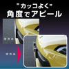 Seikou Sangyo EX-204 Car External Supplies License Plate Adjuster, Silver