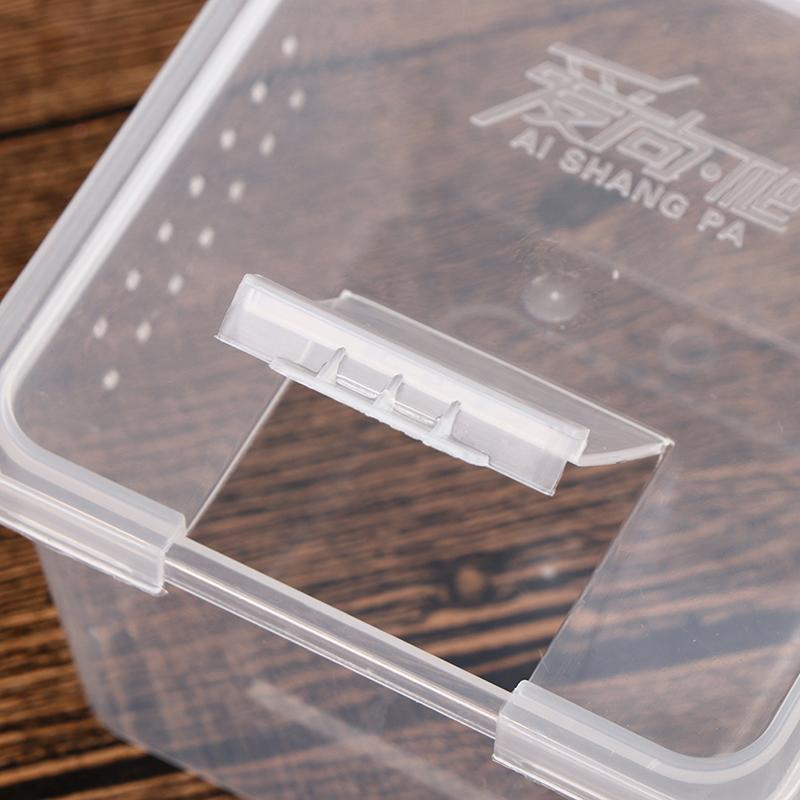 Box na plazy Kudlanka skákající Pavouk Morušový chov Box na odchov plazů