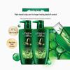 L'Oréal Tea Tree Anti-Dandruff Oil Control Shampoo