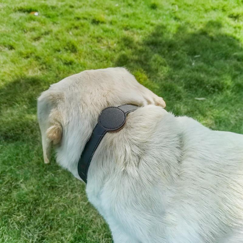 Für Apple Airtag Schutz-Tracker Wasserdicht Haustier Hund Anti-Verlust Ortung Silikon PU Halsband Anti-Verlust Haustier Katze Hundehalsband