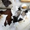 Vidaxl Cowhide Rug, Black and White, 180X220 Cm
