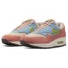 Nike Air Max 1 'Light Madder Root' DV3196-800