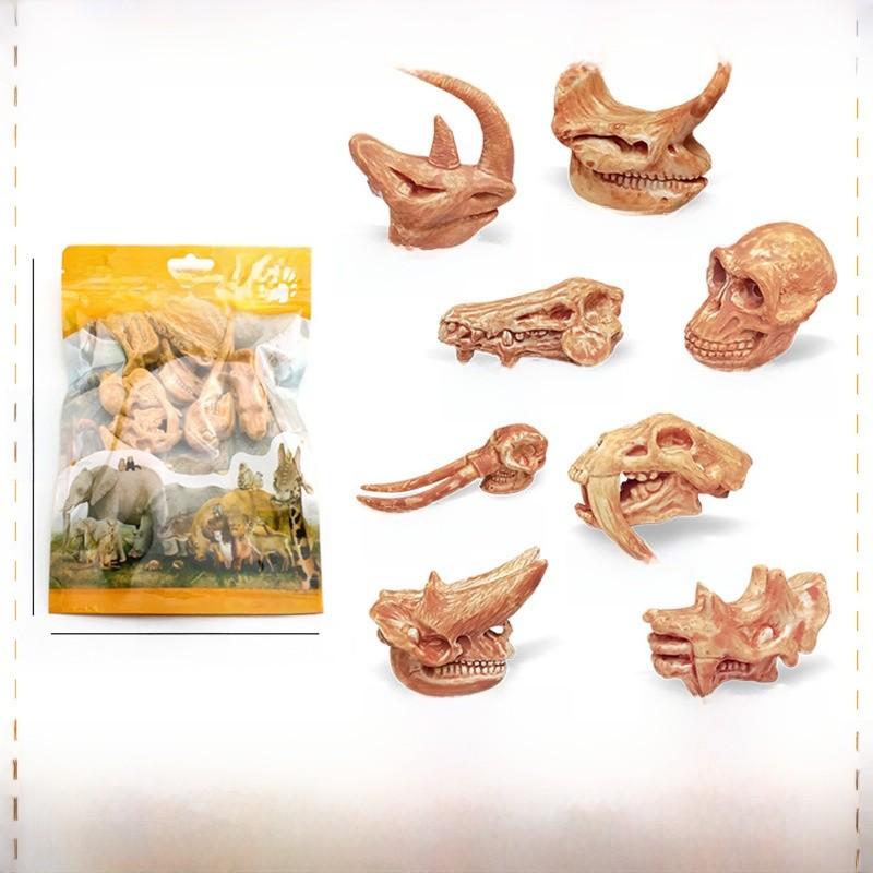 Prehistoric Mammal Skull Model With Pvc Material For Educational Museum Display And Collectors