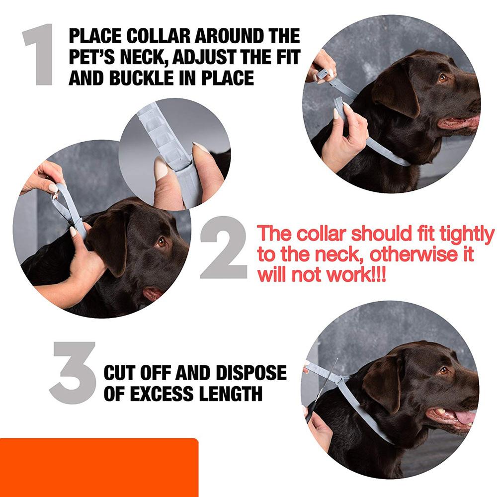 Silicone 8 Month Protection Anti-mosquitoes Flea And Tick Collar Insect Repellent Dogs Collar Cats