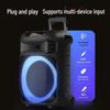 Philips SD189 Portable Outdoor Bluetooth Speaker with Handheld Mic CN plug (adapter included) (CN version)