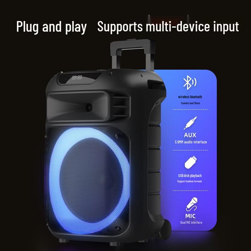 Philips SD189 Portable Outdoor Bluetooth Speaker with Handheld Mic CN plug (adapter included) (CN version)
