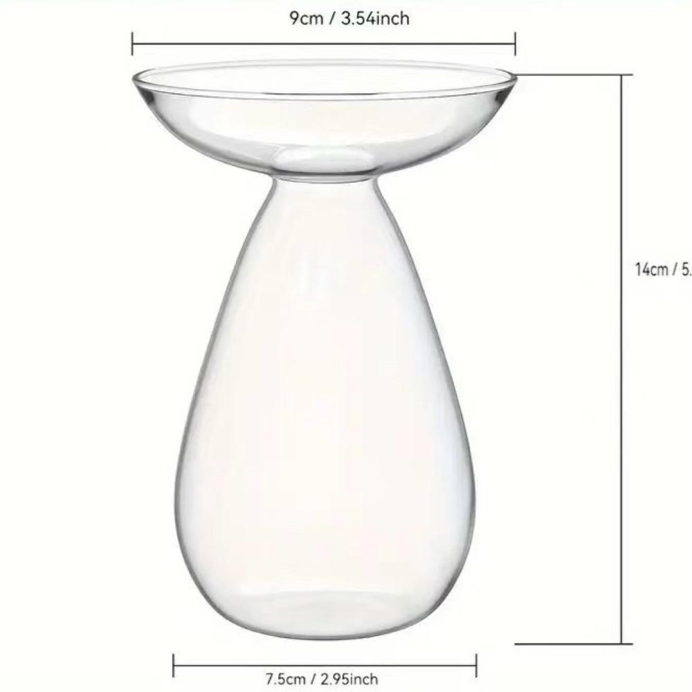 Creative Transparent Long Oval Avocado Hydroponic Vase Avocado Seeds Hydroponic Vessel Flower Pot for Gardening Home Decor