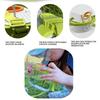 Breathable Insect Observation Box Kit Adjustable Straps Insect Feeding Bin  Snails