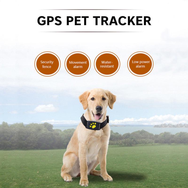 dog age tracker