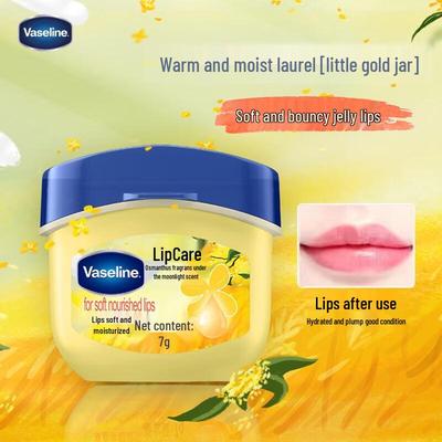 Vaseline Golden Osmanthus Lippenbalsam 3er-Pack