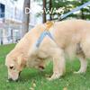 Colorful Harness Dog Walking Leash