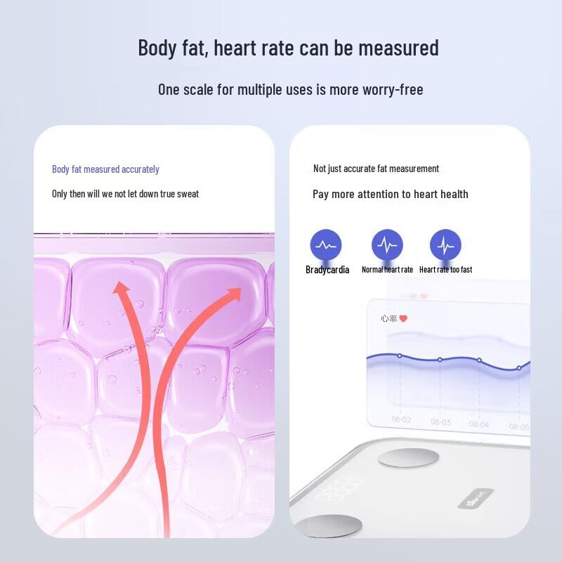 Bear E3 Smart Body Fat Scale (CN version)