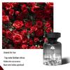 Mountain Car Aromatherapy Fragrance - Long-lasting, Unisex Deodorizing Perfume