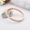 Titanium Steel Bracelet With Diamond Shell Titanium Steel Geometric Round Bracelet Diy Niche Design Jewelry