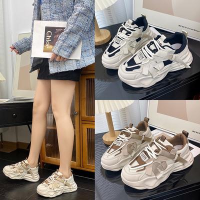 Kleine Witte Schoenen Dames Lente en Herfst Nieuwe Dikke Zool Ronde Neus Daddy Schoenen Casual Sportschoenen Trendy Campus Stijl
