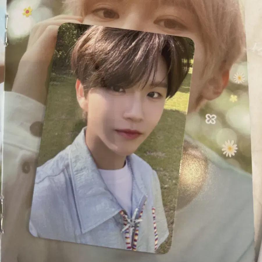 

NCT Пожелание Певчая птица Ли Джэхэ