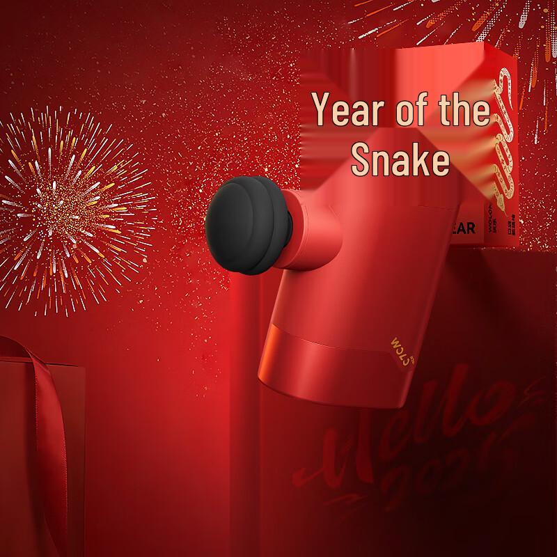 WOLONOW Mini Fascia Massage Gun