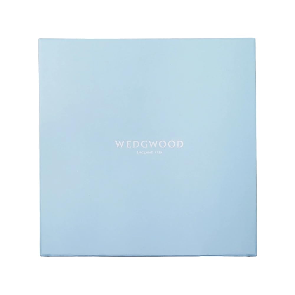 Wedgwood Renaissance Gray Accent Plate, 23cm, (Used) [Used]
