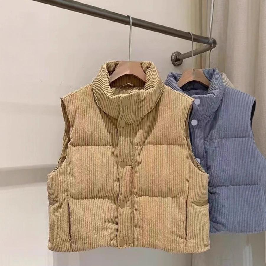 Down cotton clothes vest women's new autumn and winter loose fashion foreign look thin vest stand collar