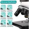 Microscope - hutact x-2 - grossissement 40x-2000x - éclairage led double - design professionnel en métal
