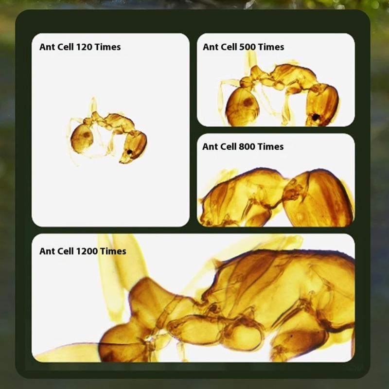 Kids Adjustable Stand Digital Microscope With LCD Screen Built In Light Source Memory Card Slot For Outdoor Indoor Use