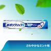 Poligrip New S Partial/Complete Denture Adhesive (Mint Flavor) 75g + New Additive-Free 8.5g (Not for Sale) [.co.jp Exclusive]