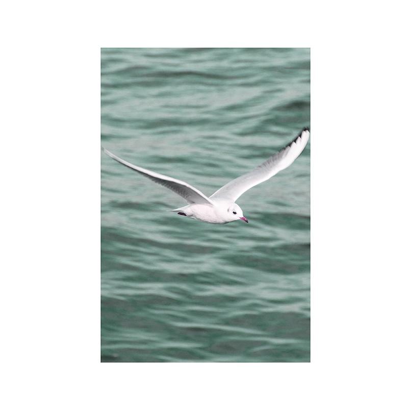 Decorative Poster Beach Ocean Summer Theme Wall Poster Prints Canvas Painting Wall Art Pictures Living Room Office Decorative