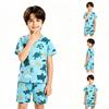 Boys' Summer T-Shirt and Shorts Set Casual Fashion Outfit for Everyday Wear