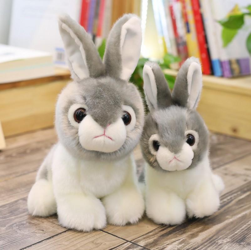 Cute Little White Rabbit Doll Korean Little Rabbit Plush Toy Rag Doll Doll Children Girl Super Cute Guy