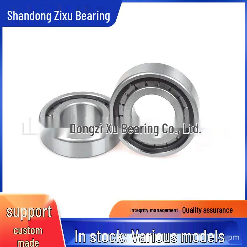 F232030-60 Cylindrical Roller Bearing for Reducers and Gearboxes