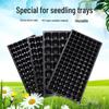 Thickened Seedling Tray for Corn, Vegetables, Strawberries & Peppers