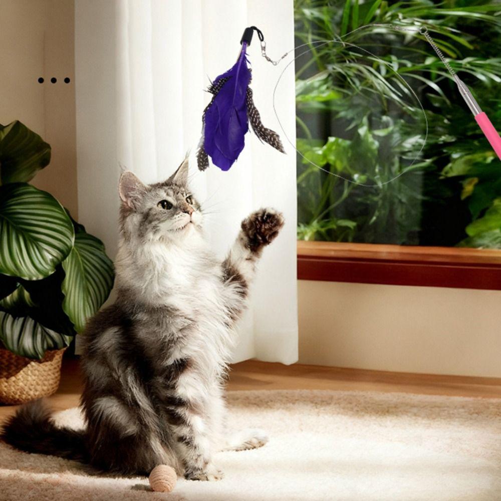 Retractable Cat Wand Pole Stainless Steel Interactive DIY Cat Exercise Stick Adjustable Length with Hanging Loop