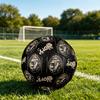1PC Royal Lion Majesty Power Symbol Soccer Ball Size 5 Football Machine Sewn Indoor/Outdoor Universal Football S94