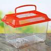 Portable Transparent Aquarium: Small Turtle & Goldfish Tank