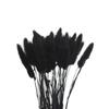 50pcs Dried Rabbit Tail Grass Flowers Artificial Plant Wedding Party