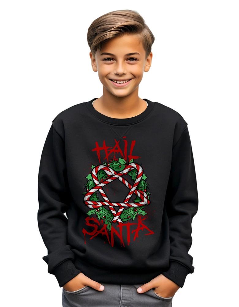 

Hail Santa Sweatshirt - Funny and Festive! 100% cotton, Funny sweatshirt, Unisex 4XL