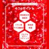 Korean Ginseng Pomegranate Jelly, 20g x 10 packets, made with Korean red ginseng extract, pomegranate concentrate, pomegranate jelly, pomegranate jell