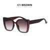 New Trendy Big Frame Cat Eye Women's Sunglasses Luxury Brand Designer Sunglass Men Outdoor Driving Travel Eyewear Ladies UV400
