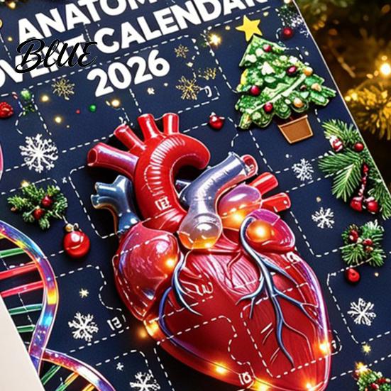 Human Organ Christmas Ornaments Anatomy Advent Calendars 2026 24 Days Organs Countdown Calendar 2D Body Science Kits Acrylic Parts Pendants
