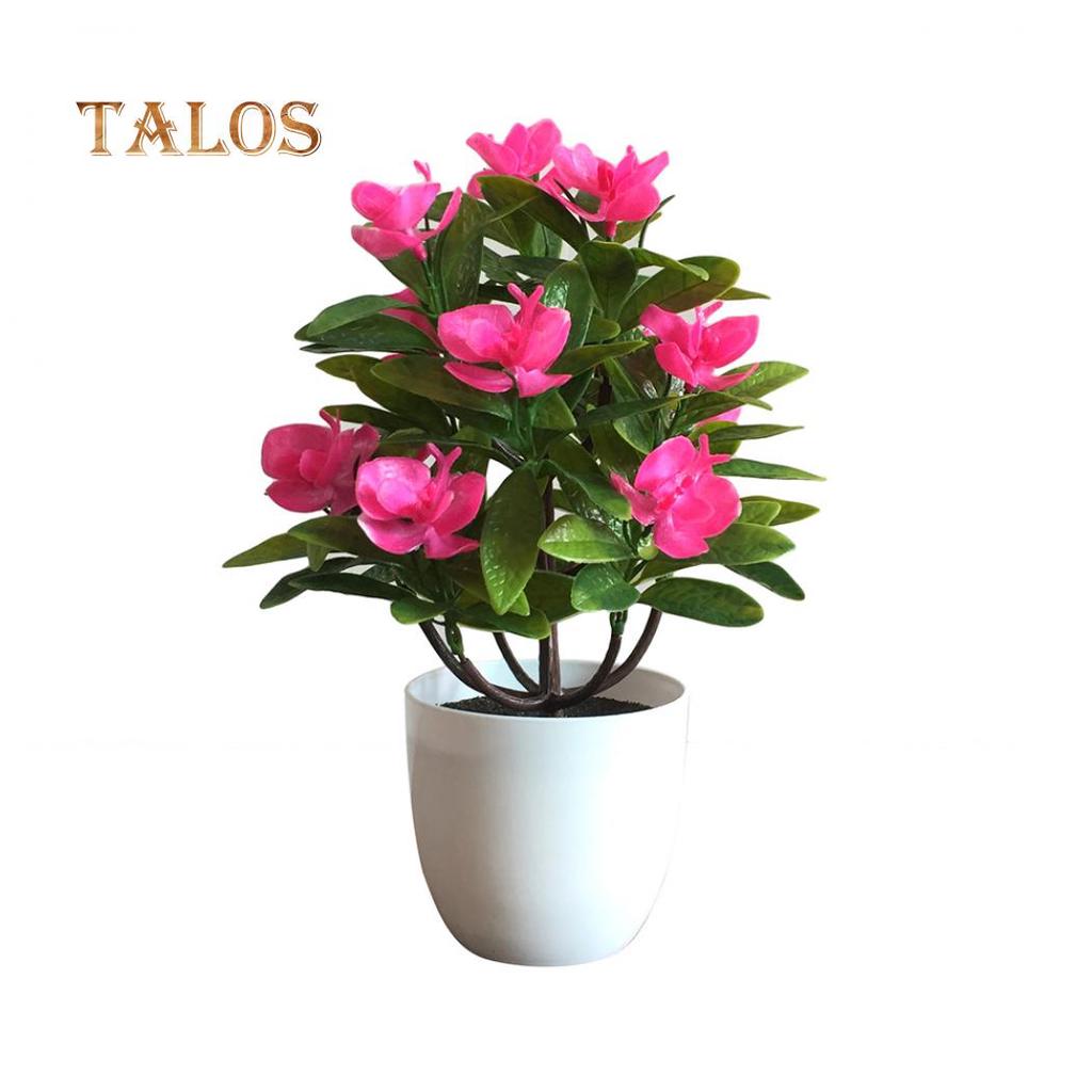 T-Garden Butterfly Orchid Flower Garden Διακόσμηση γάμου