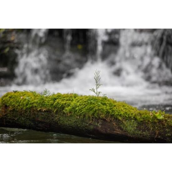 Sigma SIGMA Sigma L-Mount-Objektiv DG DN Zoom Standard Vollformat Art Nur spiegellos 28-105 mm F2.8