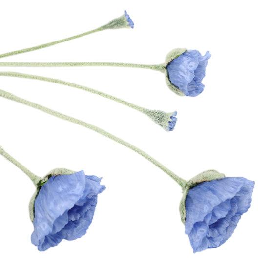 Artificial Flowers Faux Silk Flower Branch with Stems Real Touch Fake Flower Arrangement for Spring Home Kitchen Table Decor