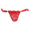 Erotic Panties Sexy Lace Floral Sheer Briefs Womens Side Tie Lingerie Knickers Low Waist Transparent G-string Thongs Pantie
