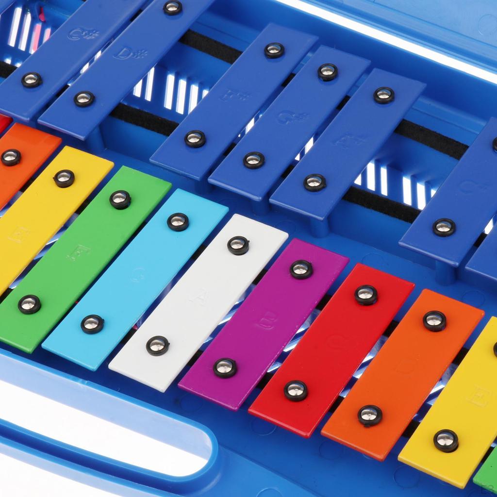 25 Key Xylophone Set with Carrying Case for Music Enthusiasts