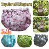 Absorbent Squirrel Diapers Adjustable Small Pet Diapers Potty Training Underwear  Rat