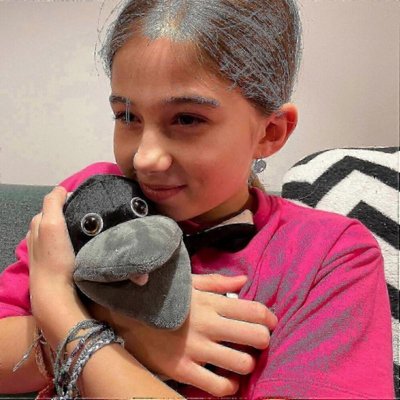 Steve And Maggie Plush Toy, Soft Magpie Plush Toy, Bird Hand Puppet