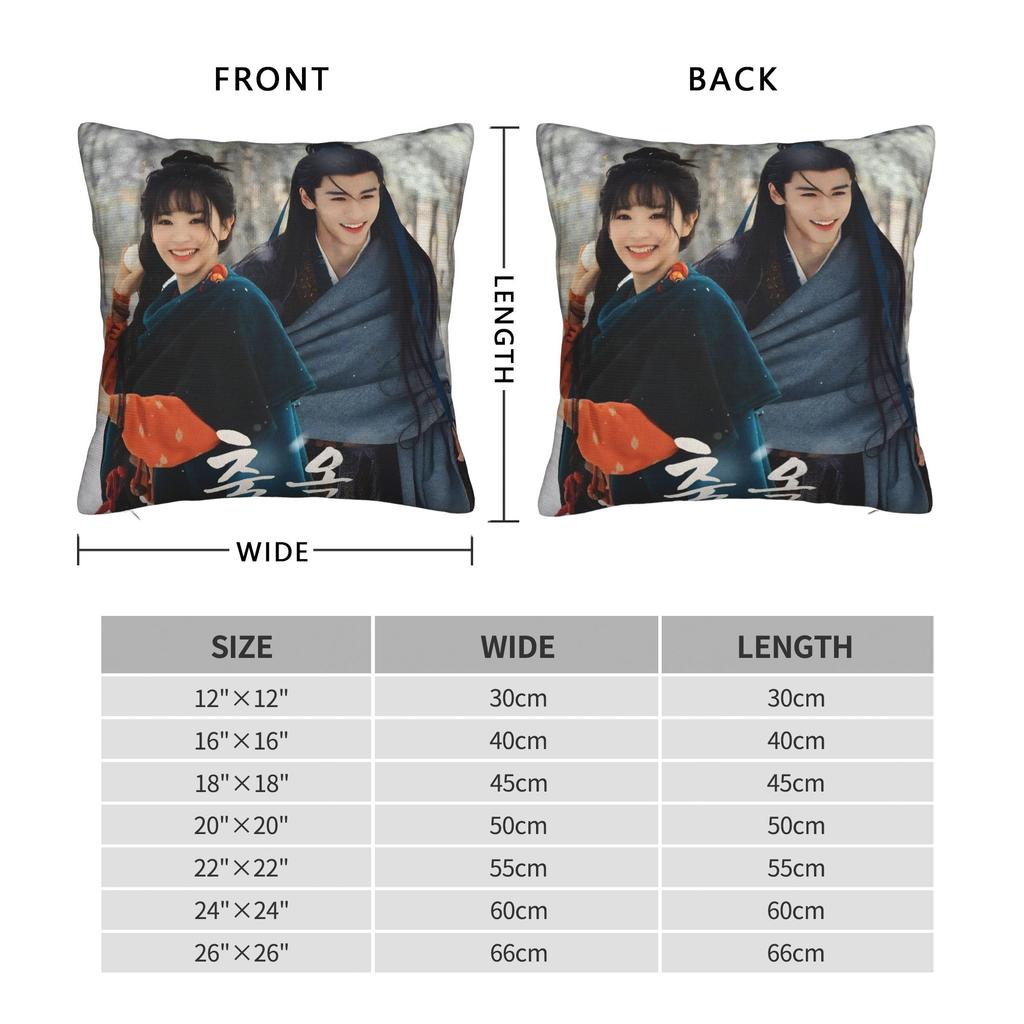 Pursuit Of Jade Tv Pillowcase Printed Fabric Cushion Cover Decorations Throw Pillow Case Cover Home Square 45*45Cm