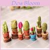 Delicioso Mini Ornamento de Resina de Cacto para Decoração Encantadora de Jardim de Fadas Artesanal