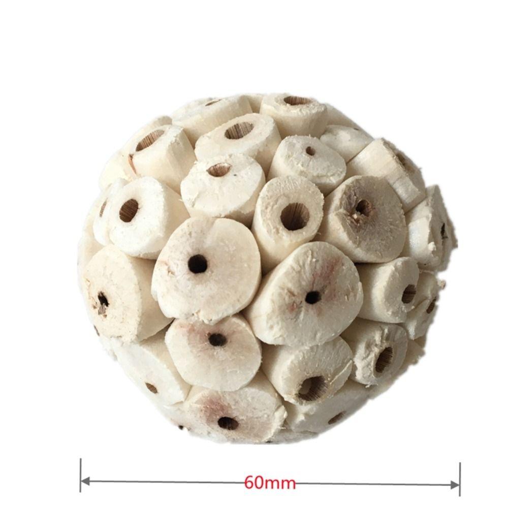Vogelzubehör Zahnmahlwerk Wellensittiche Kauspielzeug Vogelspielzeug Sola Ball Interaktives Spielzeug Mahlspielzeug