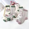5 Pairs of Women's Autumn and Winter Warm Trend Embroidery Cylinder Stack Socks
